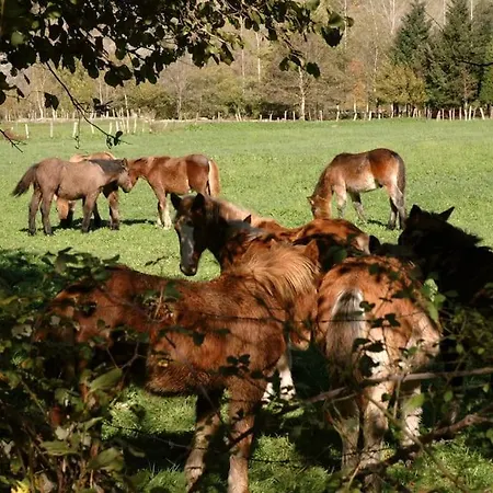 La Casona De Don Elias