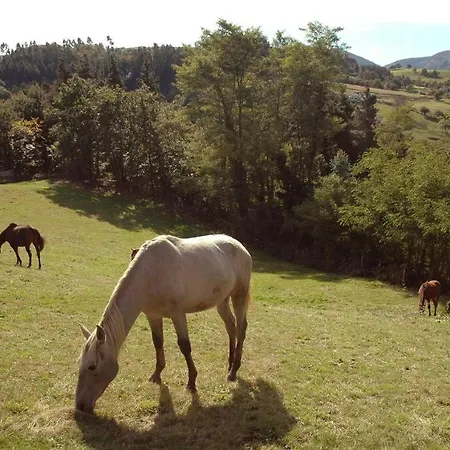 La Casona De Don Elias Silió