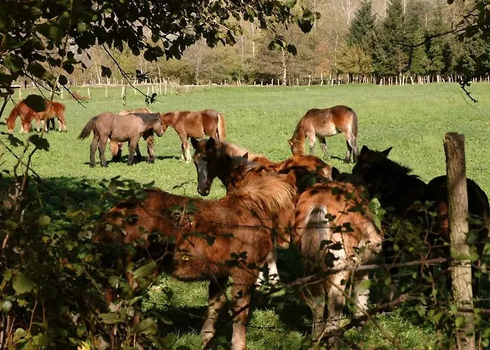 La Casona De Don Elias