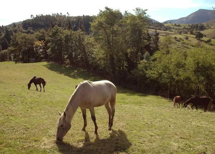 La Casona De Don Elias Silió